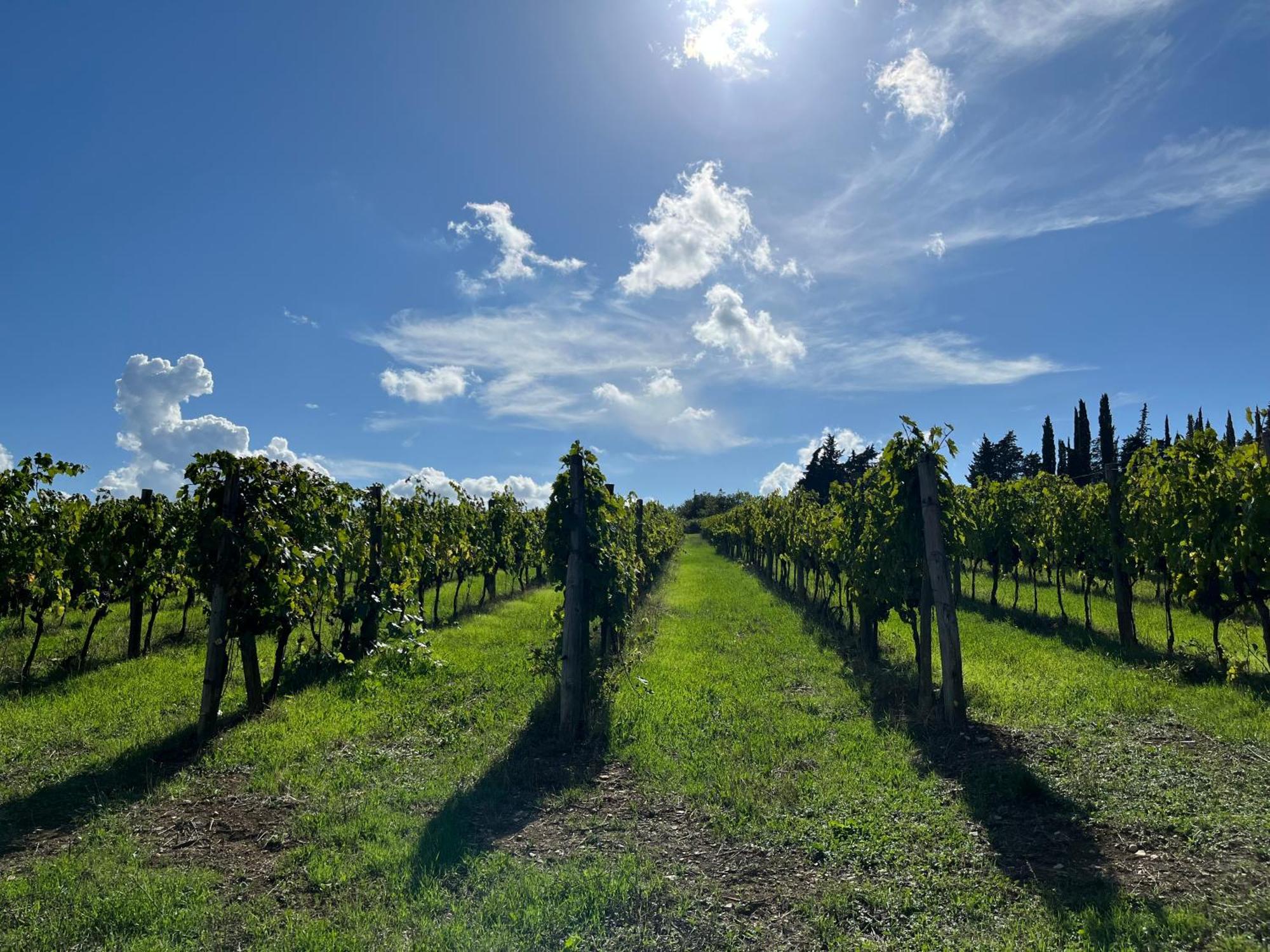 Il Villino Farmhouse Castellina in Chianti Esterno foto