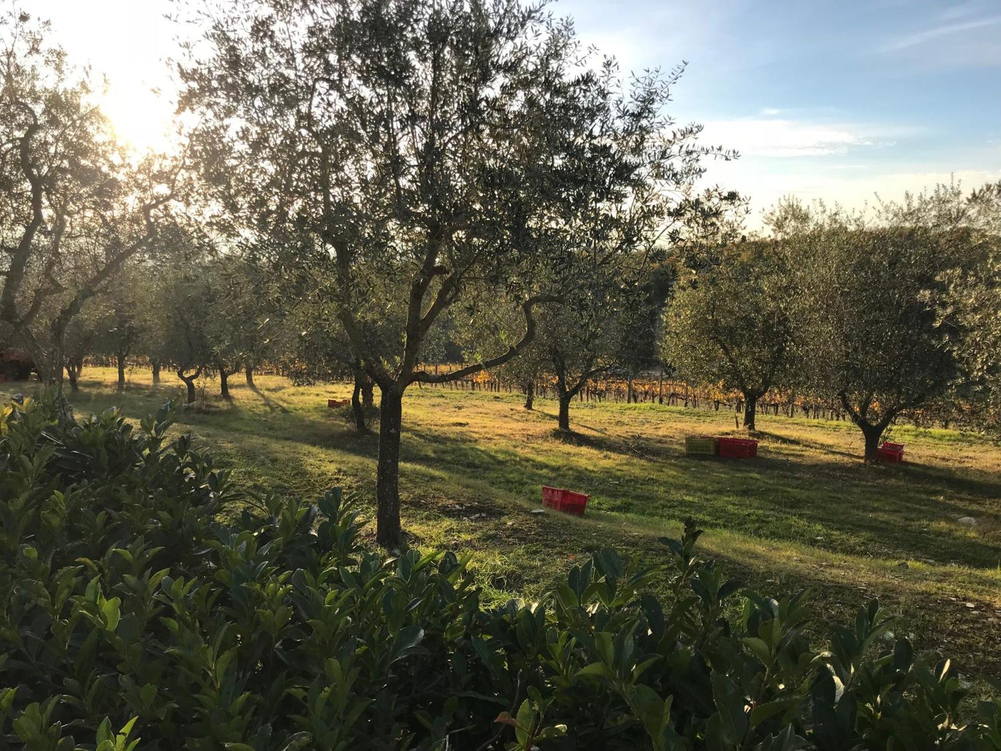 Il Villino Farmhouse Castellina in Chianti Esterno foto